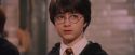 PF-Potterish_06226.jpg