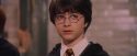 PF-Potterish_06227.jpg