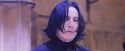 PF-Potterish_06229.jpg