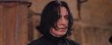 PF-Potterish_06230.jpg