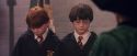 PF-Potterish_06248.jpg