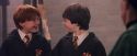 PF-Potterish_06268.jpg