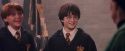 PF-Potterish_06269.jpg