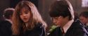 PF-Potterish_06307.jpg