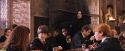 PF-Potterish_06310.jpg