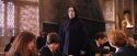 PF-Potterish_06314.jpg