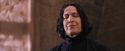 PF-Potterish_06318.jpg