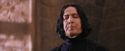 PF-Potterish_06320.jpg