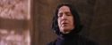 PF-Potterish_06323.jpg
