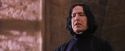 PF-Potterish_06328.jpg