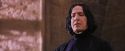 PF-Potterish_06329.jpg