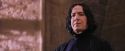 PF-Potterish_06331.jpg