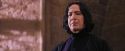 PF-Potterish_06334.jpg