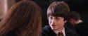 PF-Potterish_06350.jpg