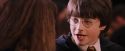 PF-Potterish_06367.jpg