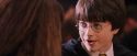 PF-Potterish_06368.jpg
