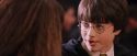 PF-Potterish_06370.jpg