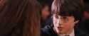 PF-Potterish_06371.jpg
