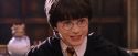 PF-Potterish_06374.jpg