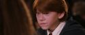 PF-Potterish_06376.jpg