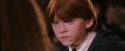 PF-Potterish_06377.jpg