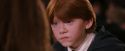 PF-Potterish_06378.jpg