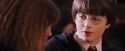PF-Potterish_06379.jpg
