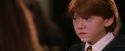 PF-Potterish_06385.jpg