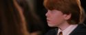 PF-Potterish_06386.jpg