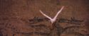 PF-Potterish_06388.jpg