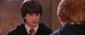 PF-Potterish_06409.jpg