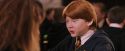 PF-Potterish_06430.jpg
