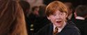 PF-Potterish_06432.jpg
