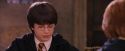 PF-Potterish_06436.jpg