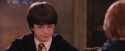 PF-Potterish_06437.jpg