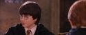 PF-Potterish_06438.jpg