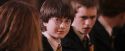PF-Potterish_06442.jpg