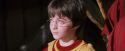 PF-Potterish_06507.jpg
