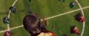 PF-Potterish_06584.jpg