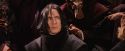 PF-Potterish_06682.jpg