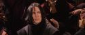 PF-Potterish_06683.jpg