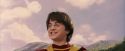 PF-Potterish_06737.jpg