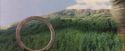 PF-Potterish_06757.jpg