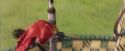 PF-Potterish_06768.jpg