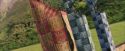 PF-Potterish_06825.jpg