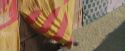 PF-Potterish_06832.jpg
