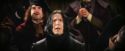 PF-Potterish_06895.jpg