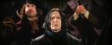 PF-Potterish_06896.jpg