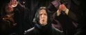 PF-Potterish_06897.jpg