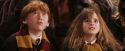 PF-Potterish_06904.jpg